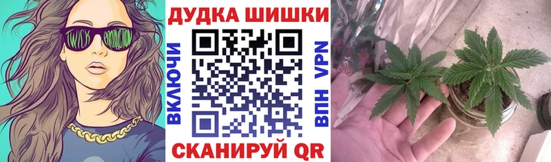 Купить наркотик аптеки Шиханы Каннабис  Cocaine  ГАШ  Бутират  Амфетамин  Меф мяу мяу  СК 